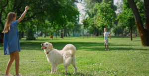 Children and Animals: The Power of Outdoor Adventures