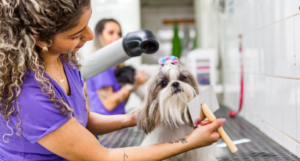 Bathing and Grooming: How to Keep Your Pet Clean and Healthy