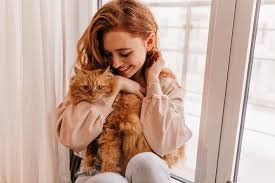 10 Signs Your Cat Actually Likes You